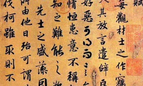 苦茞功效网-分享苦藠功效，苦腃的药用功效知识库
