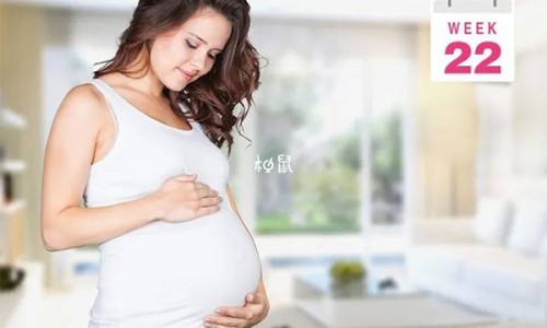 苦茞功效网-分享苦藠功效，苦腃的药用功效知识库