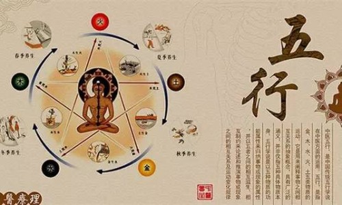 苦茞功效网-分享苦藠功效，苦腃的药用功效知识库