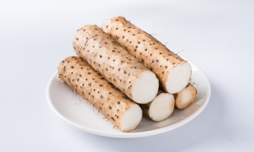 苦槠功效-苦茞功效网-分享苦藠功效，苦腃的药用功效知识库